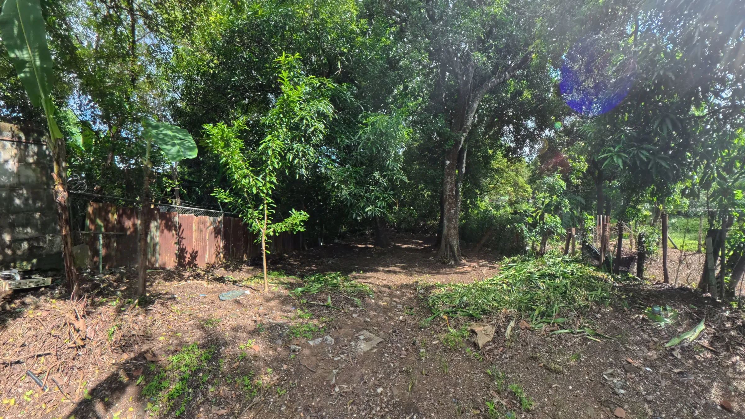 BRISA-0003 - foto 15